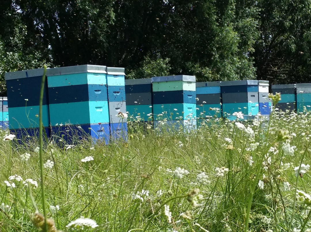 Mana Kai Honey-Awanui必去景点