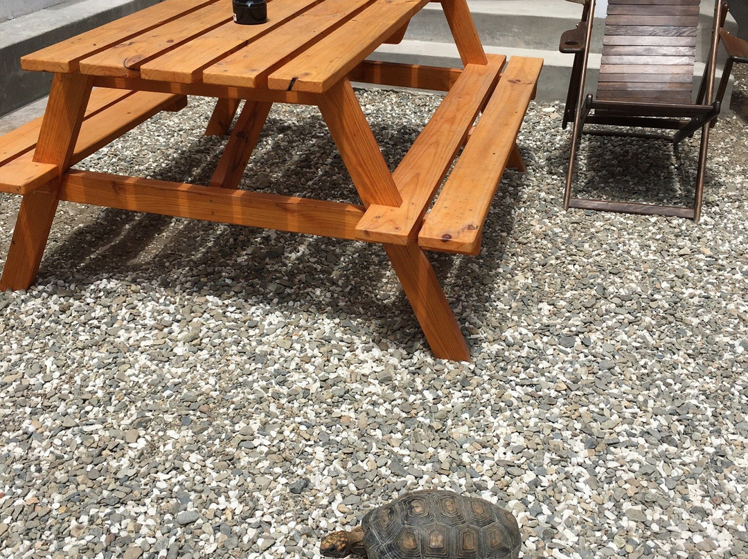 Atma Yoga Huanchaco-Huanchaco必去景点