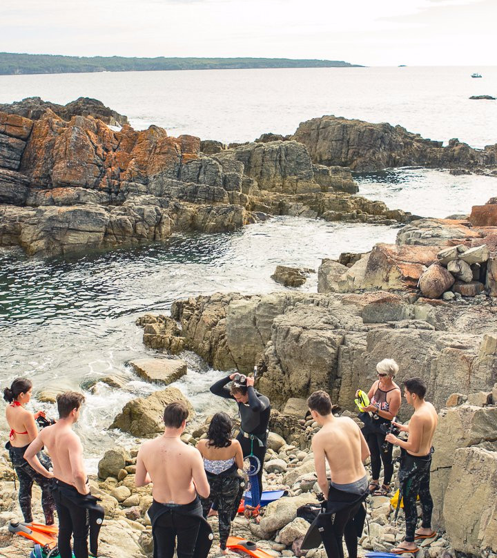 Australia's Coastal Wilderness Adventures-伊登港必去景点
