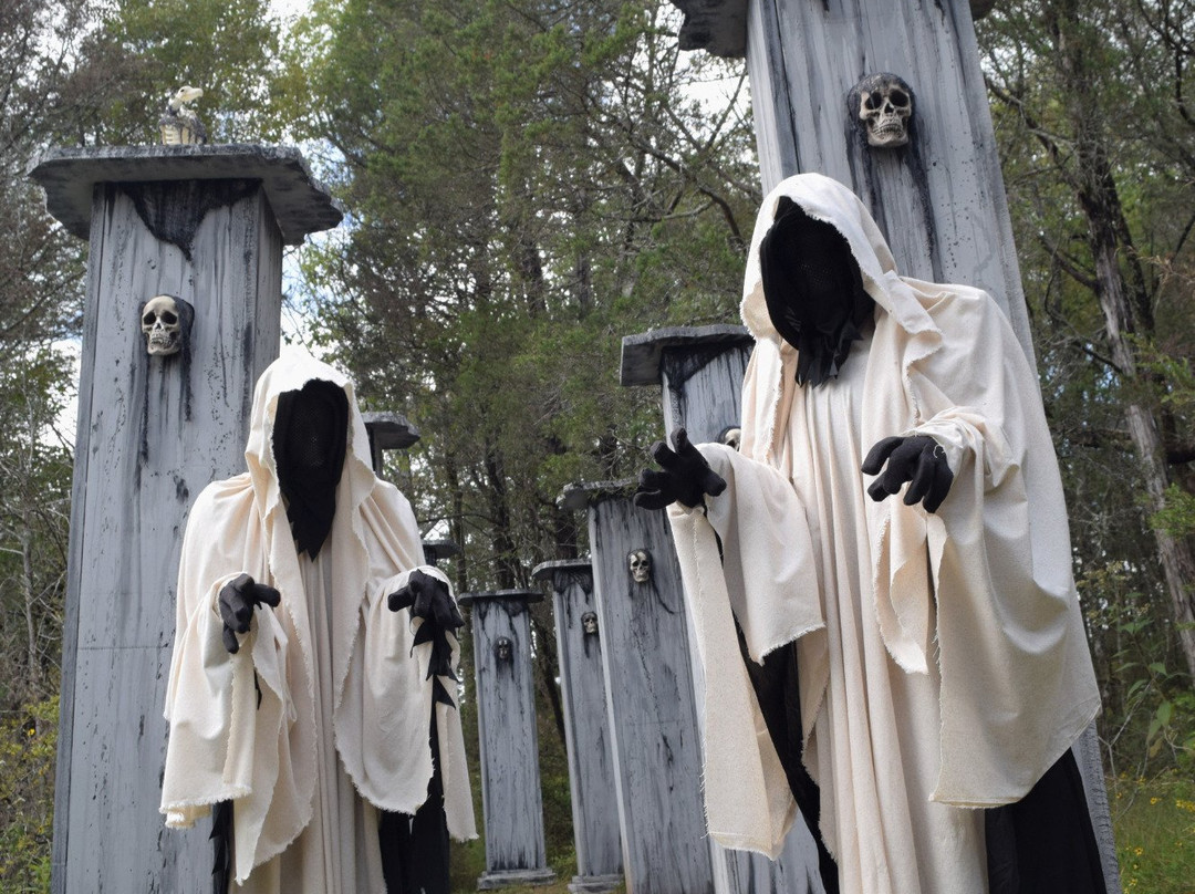 Creepy Hollow Haunted Woods景点图片