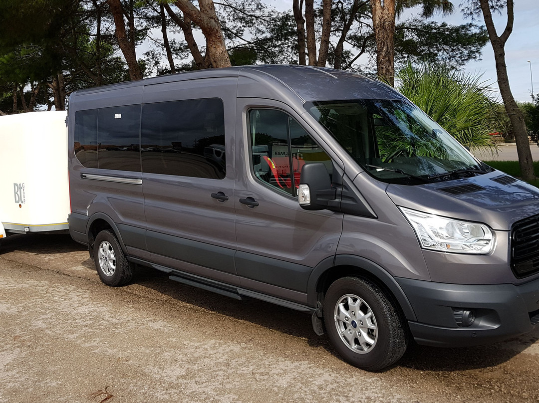Bt Group Mallorca Buses景点图片