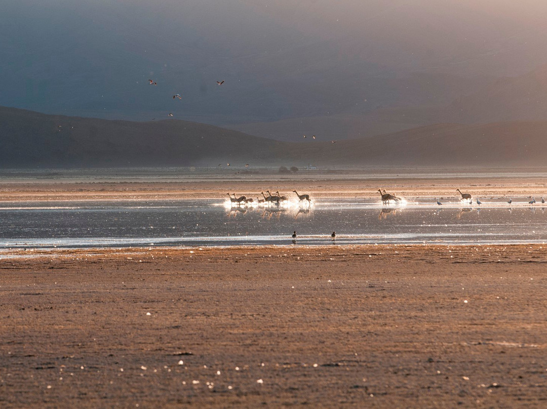 Monumento Natural Laguna de los Pozuelos景点图片