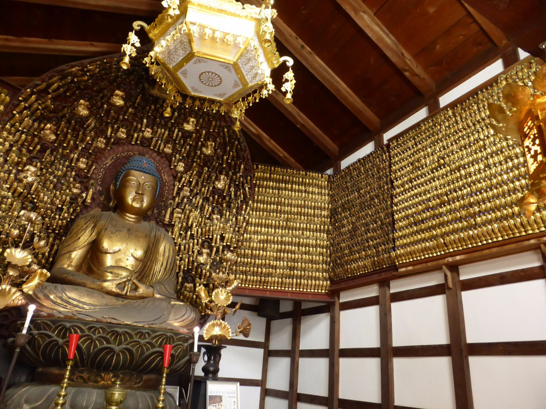 Kosan-ji Temple景点图片