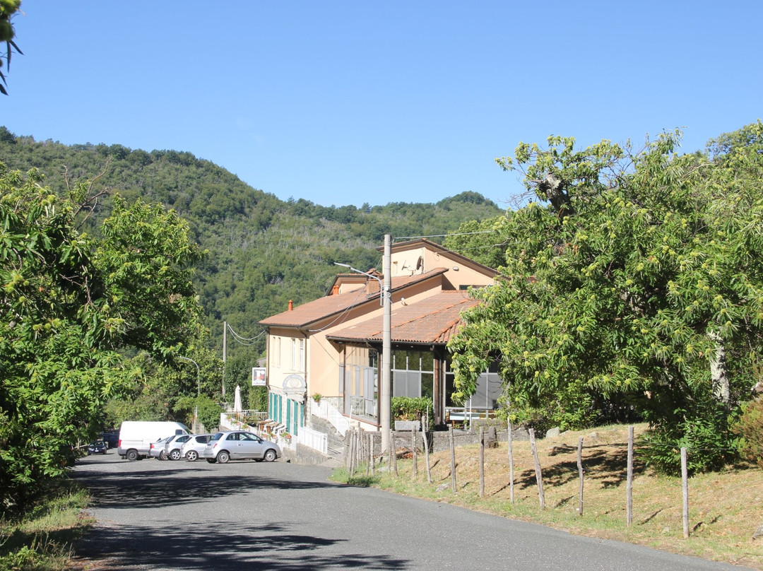 Pieve旅游攻略图片