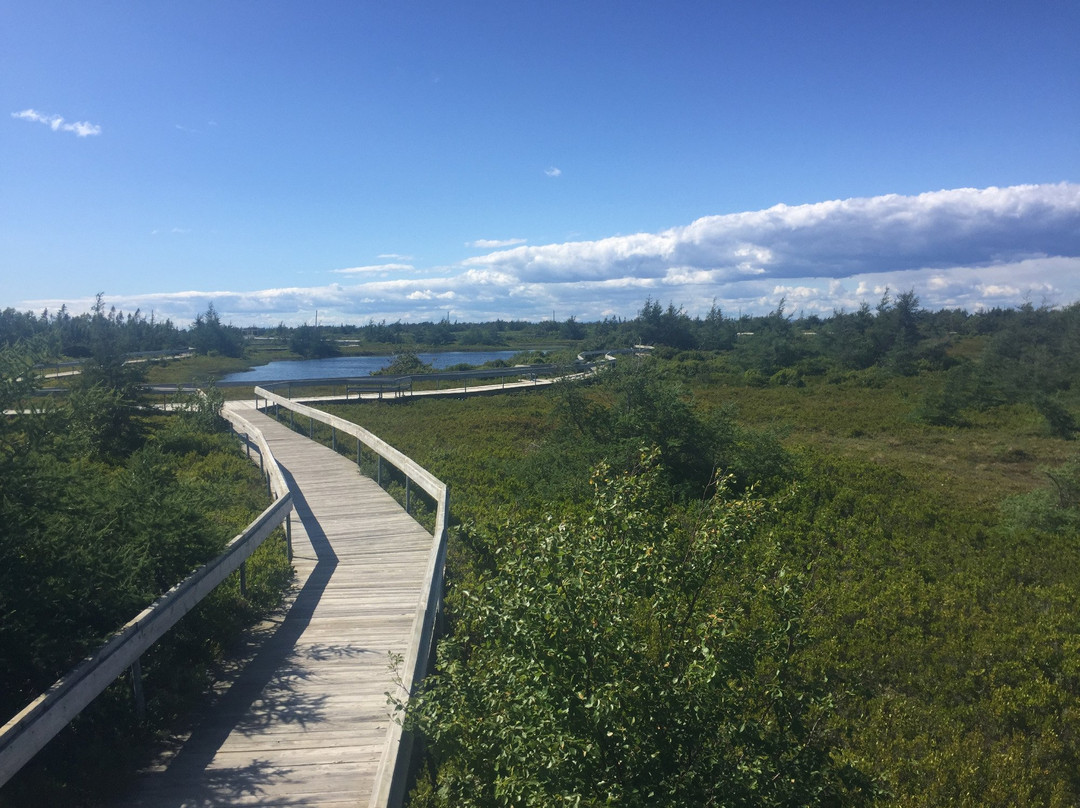 Miscou Island-Miscou必去景点