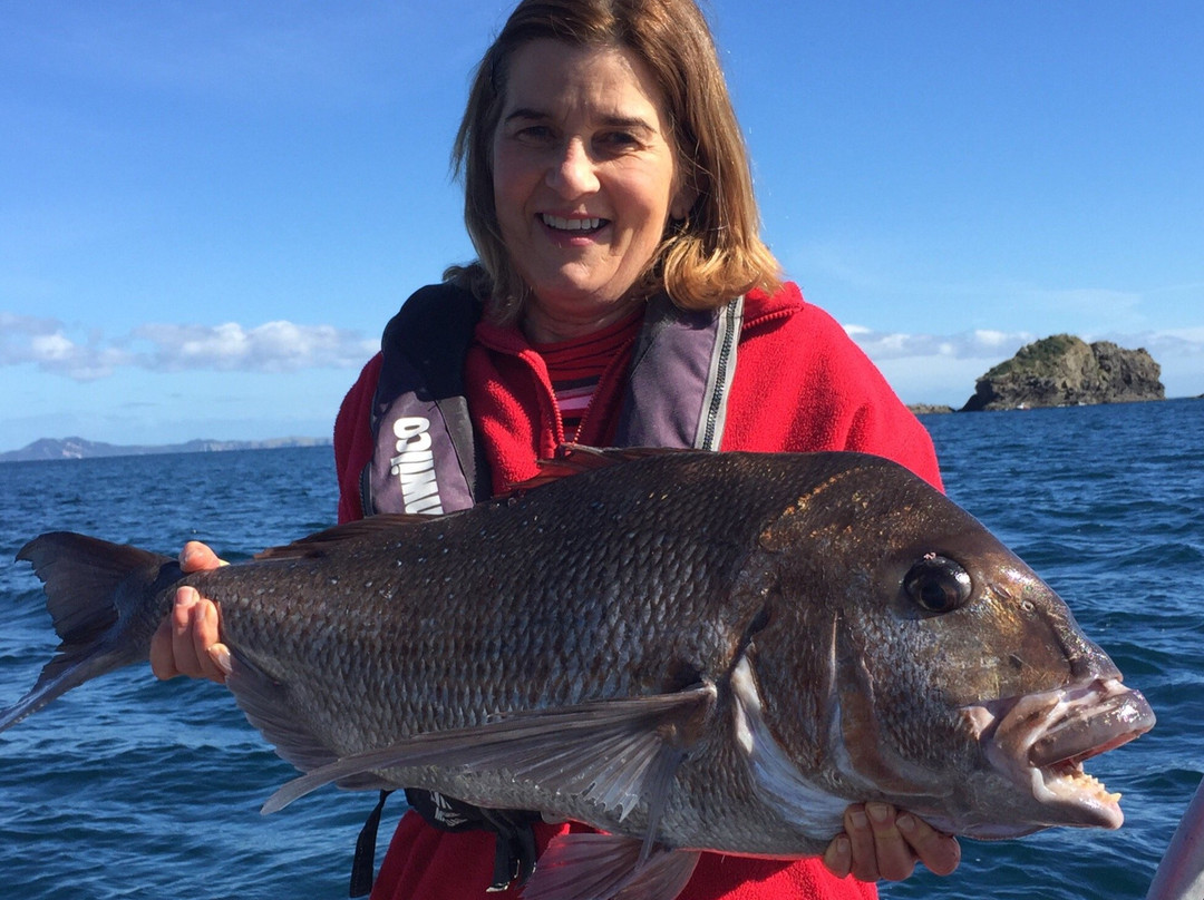 Houhora fishing charters-Houhora必去景点