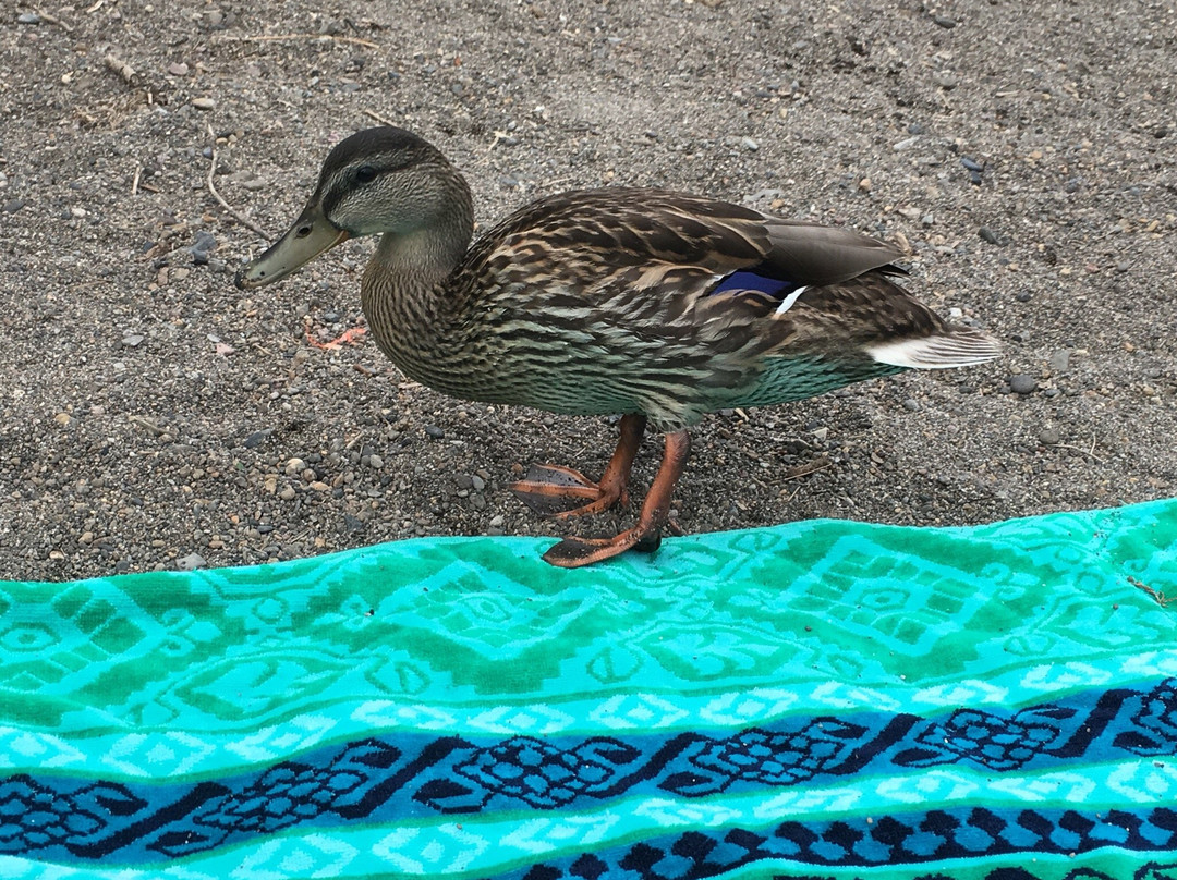 Skylandia Park-塔霍城必去景点