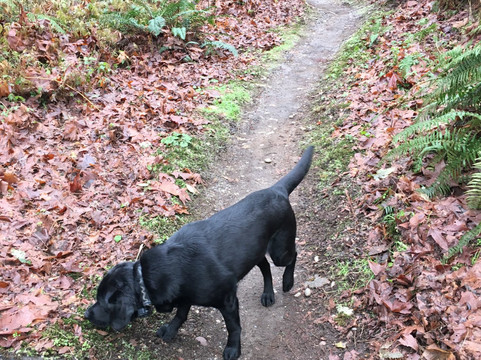 Soaring Eagle Park-Sammamish必去景点