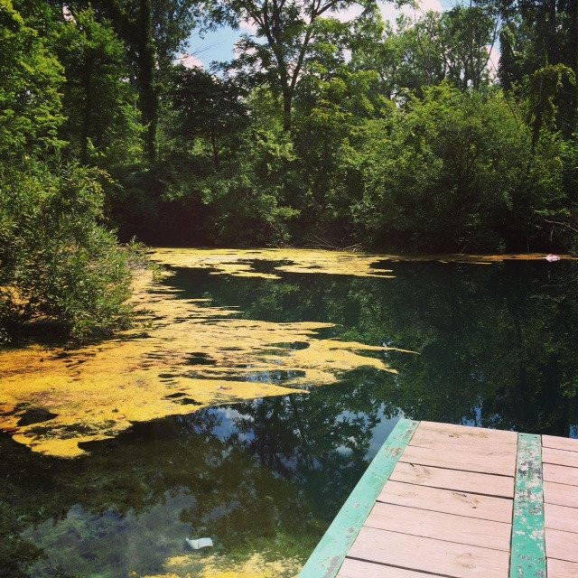 Castalia State Fish Hatchery-Castalia必去景点