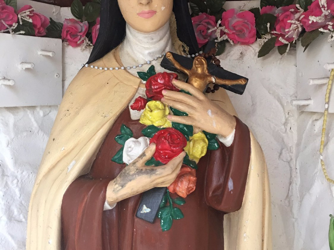 Shrine of Our Lady of Mercy景点图片