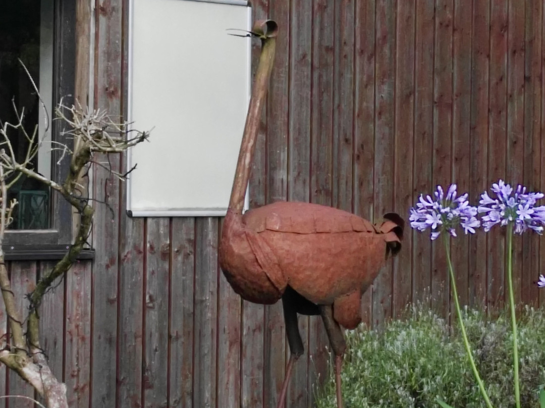 Straussenfarm Mhou-Rulzheim必去景点