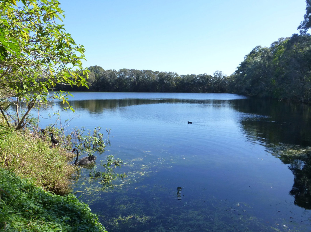 Black Swan Lake景点图片
