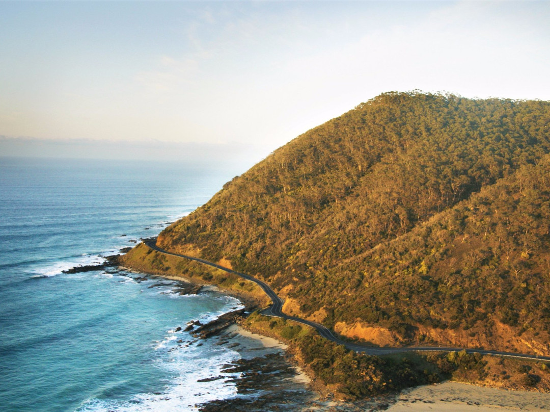 Redgum Roadtrips-Bellarine必去景点