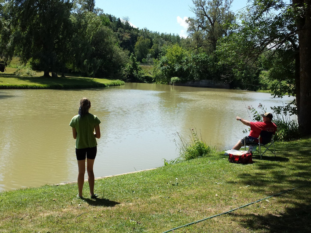 Nicolston Dam-Alliston必去景点