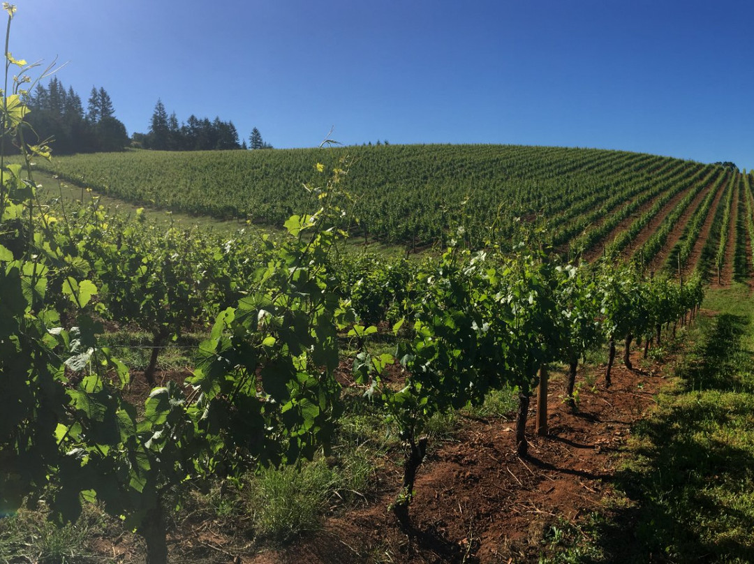 R Stuart & Co.-麦克明维尔必去景点