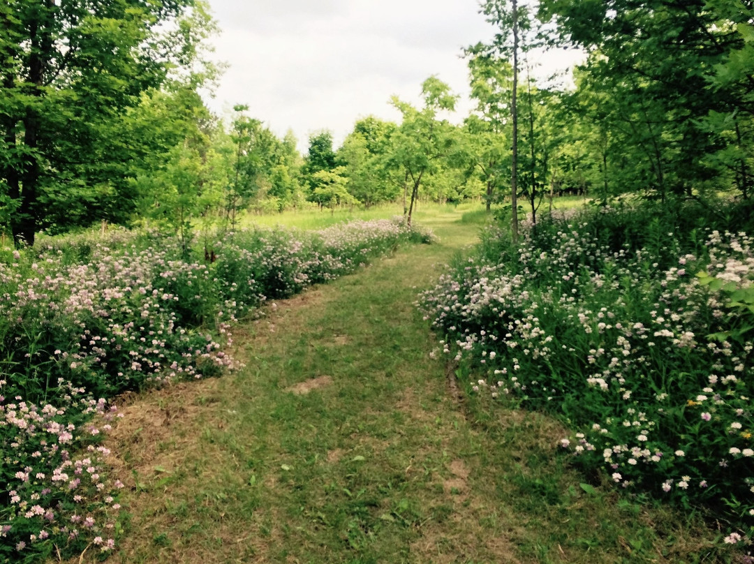 Guelph Lake Conservation Area-贵湖必去景点