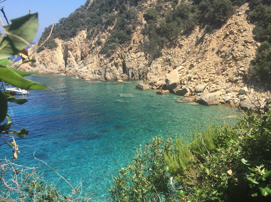 Spiaggia di Ripa Barata景点图片