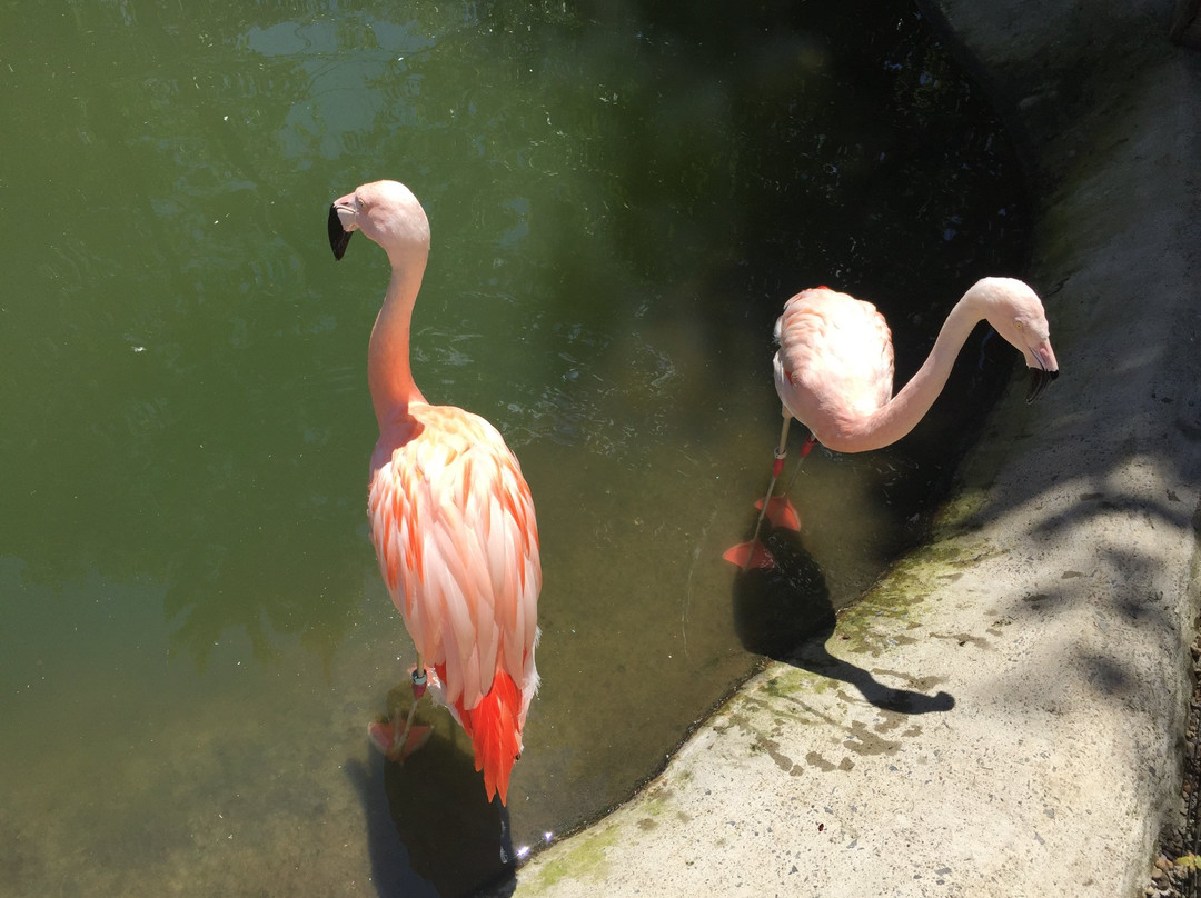 Living Treasures Wild Animal Park-New Castle必去景点