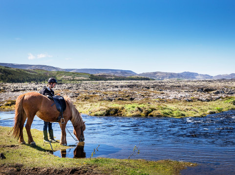 Ishestar Horse Riding Tours