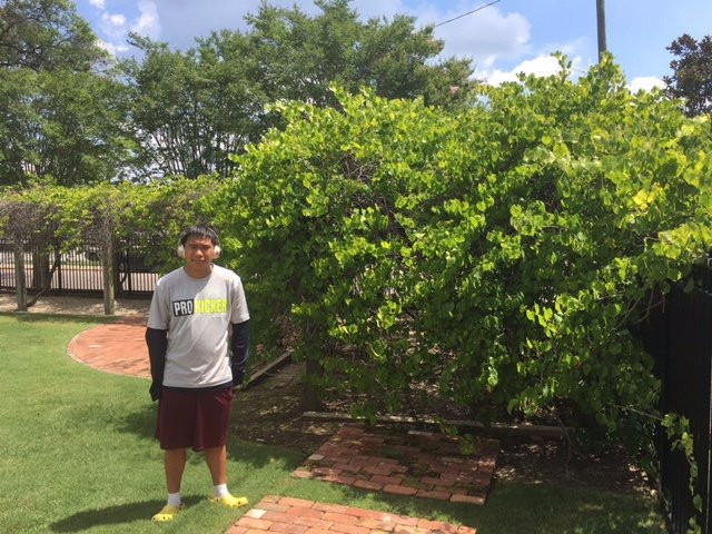 Meadow Garden-奥古斯塔必去景点