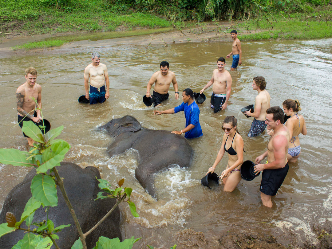 Maeklang Elephant Conservation Community景点图片