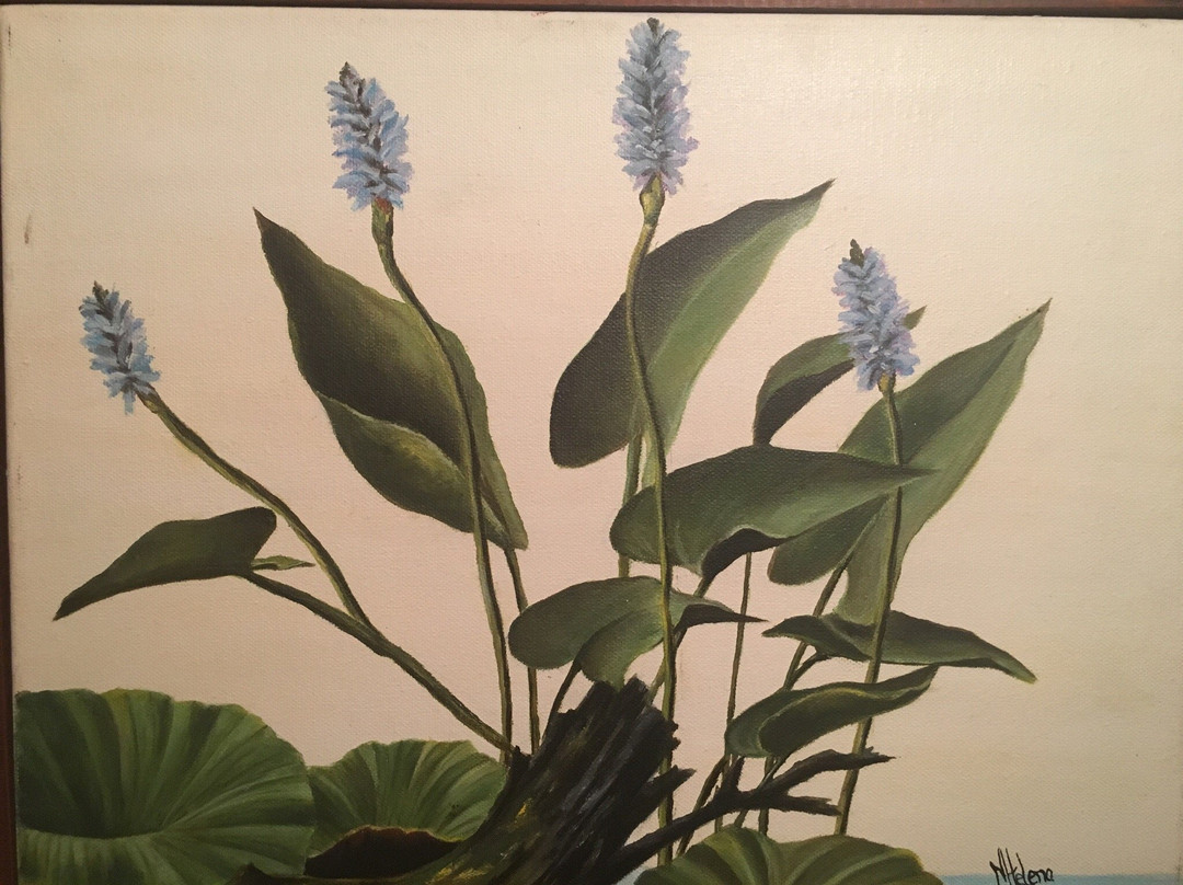 Hellen Art Atelier-Redondo必去景点