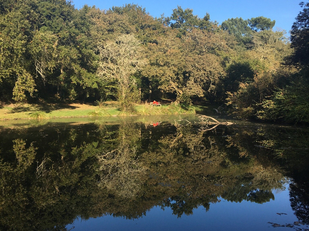 Etang des neuf fontaines景点图片