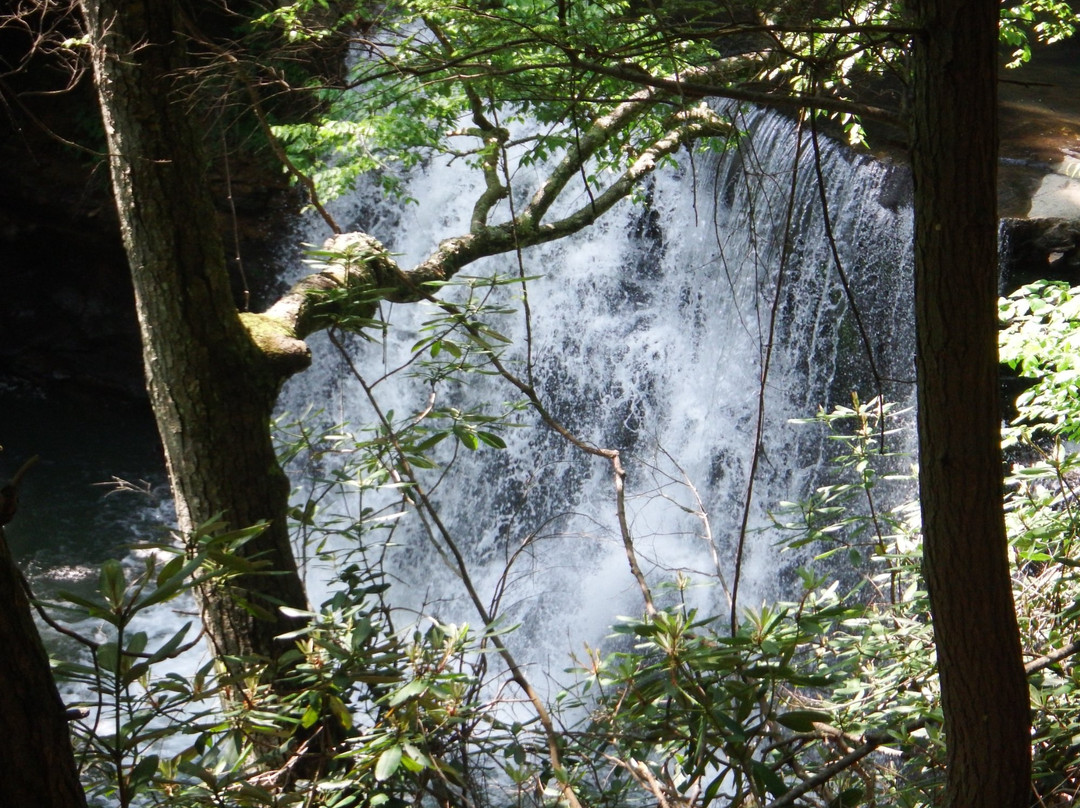Hawks Nest Rail Trail-Ansted必去景点