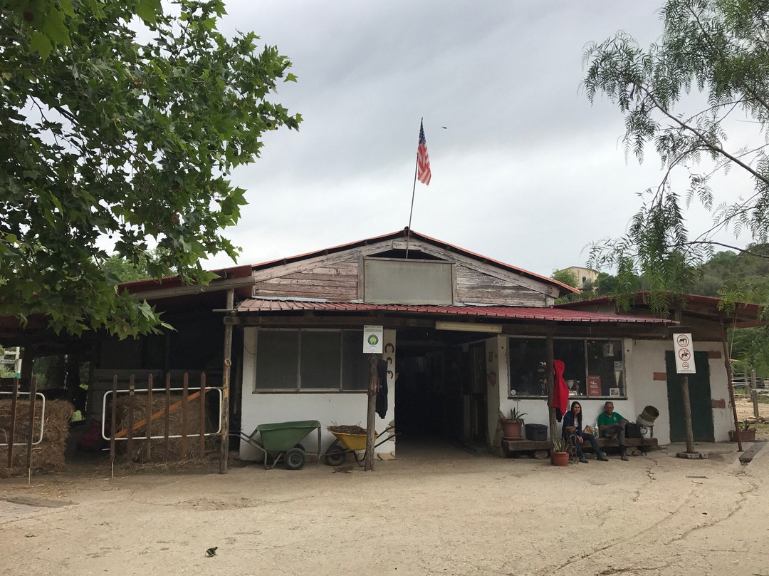 Natura e Cavallo-Tolfa必去景点