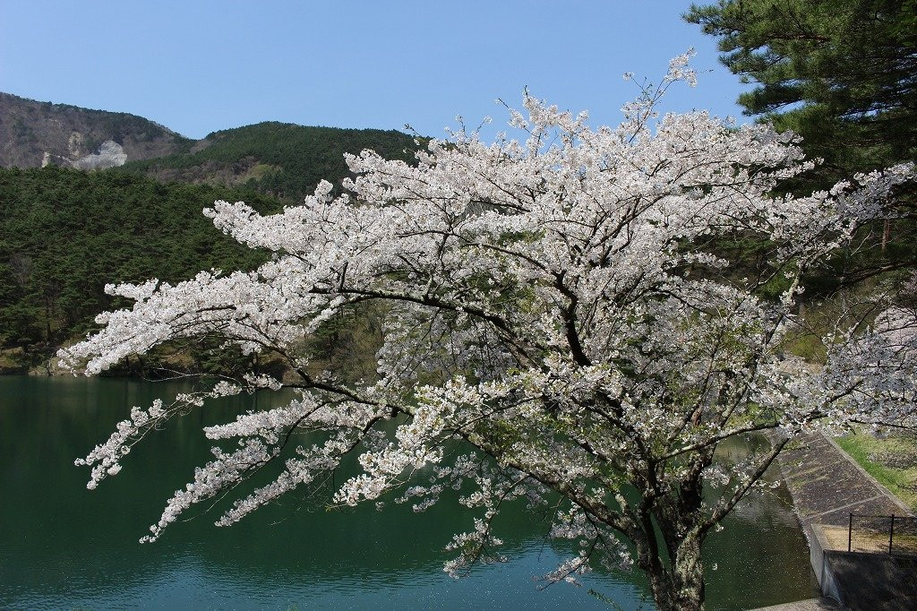 Handayama Natural Park-桑折町必去景点