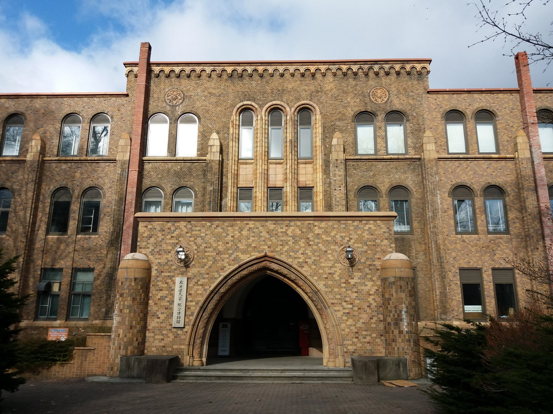 北海道大学博物馆-札幌市必去景点