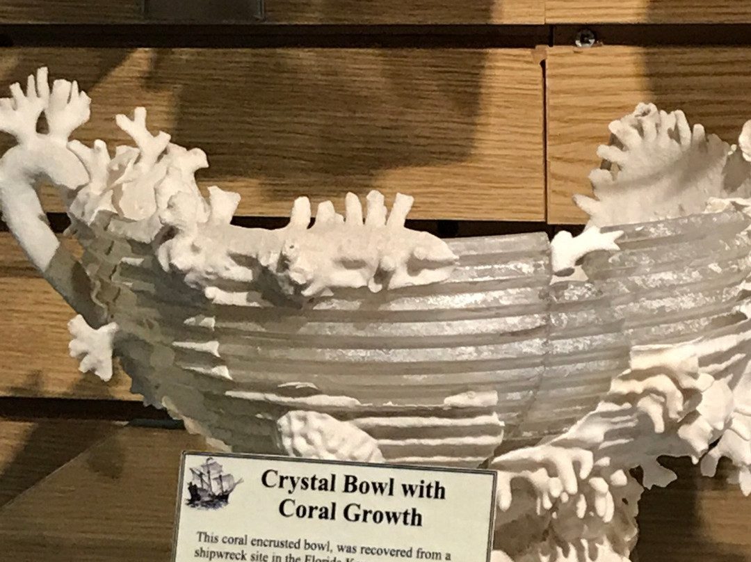 DiscoverSea Shipwreck Museum-Fenwick Island必去景点