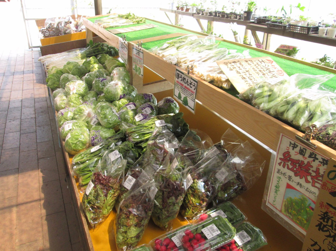 Meiji no Mori/Kuroiso Michi-no-Eki-那须盐原市必去景点