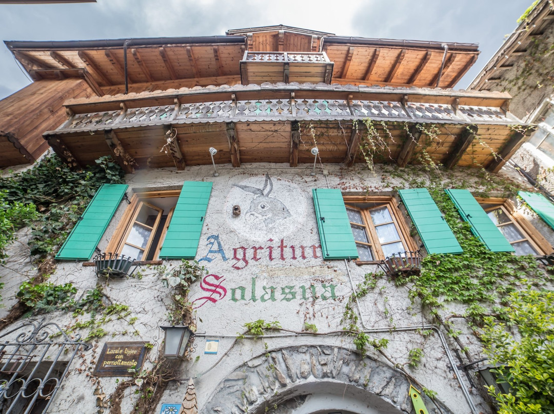 Bresimo餐馆和美食-Agritur Solasna Ristorante