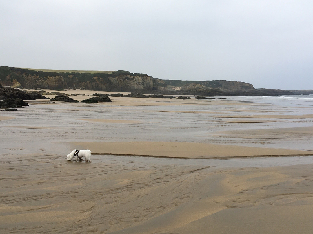 Playa de Serantes景点图片