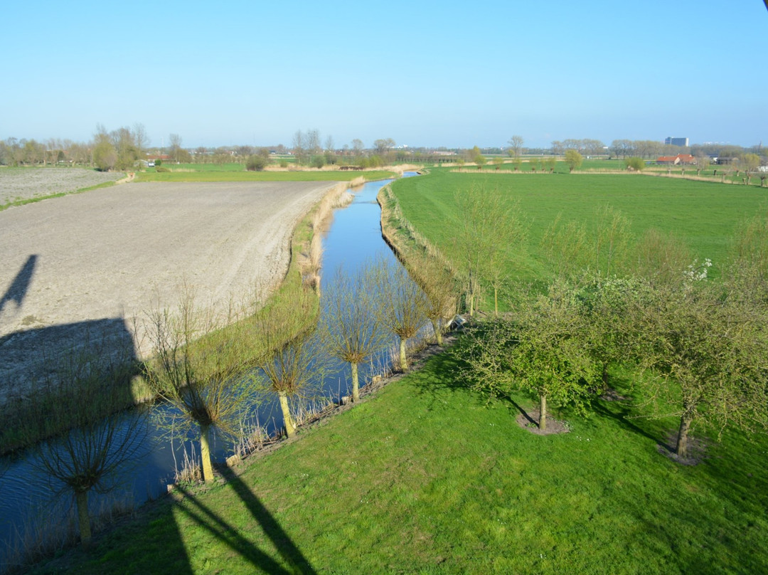 Poldermolen Meetkerke景点图片
