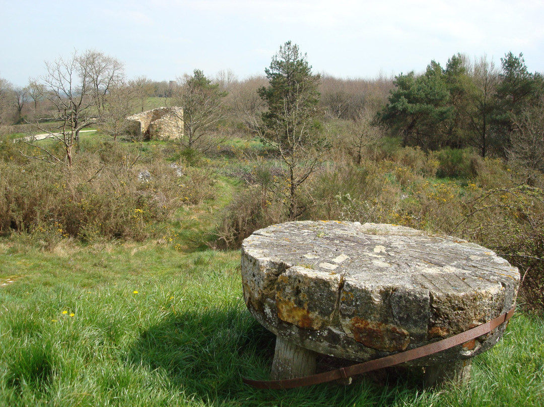 Saint-Martin-Lars-en-Sainte-Hermine旅游攻略图片