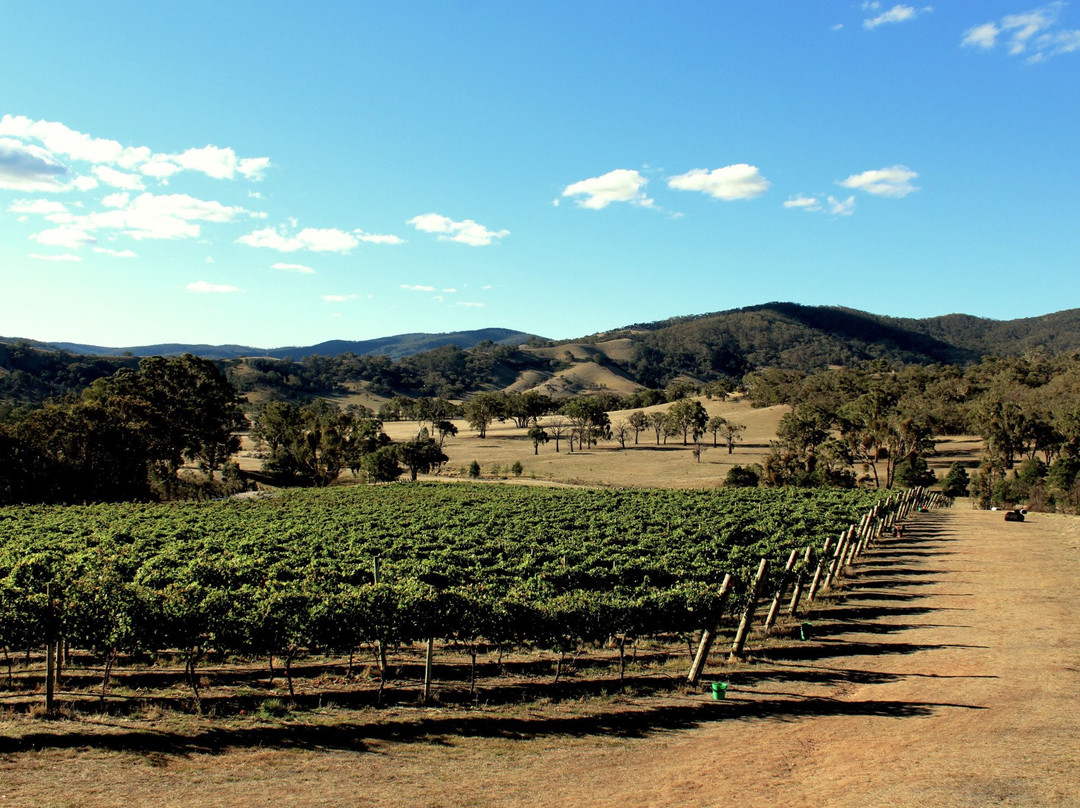 Wimmera Hills Winery