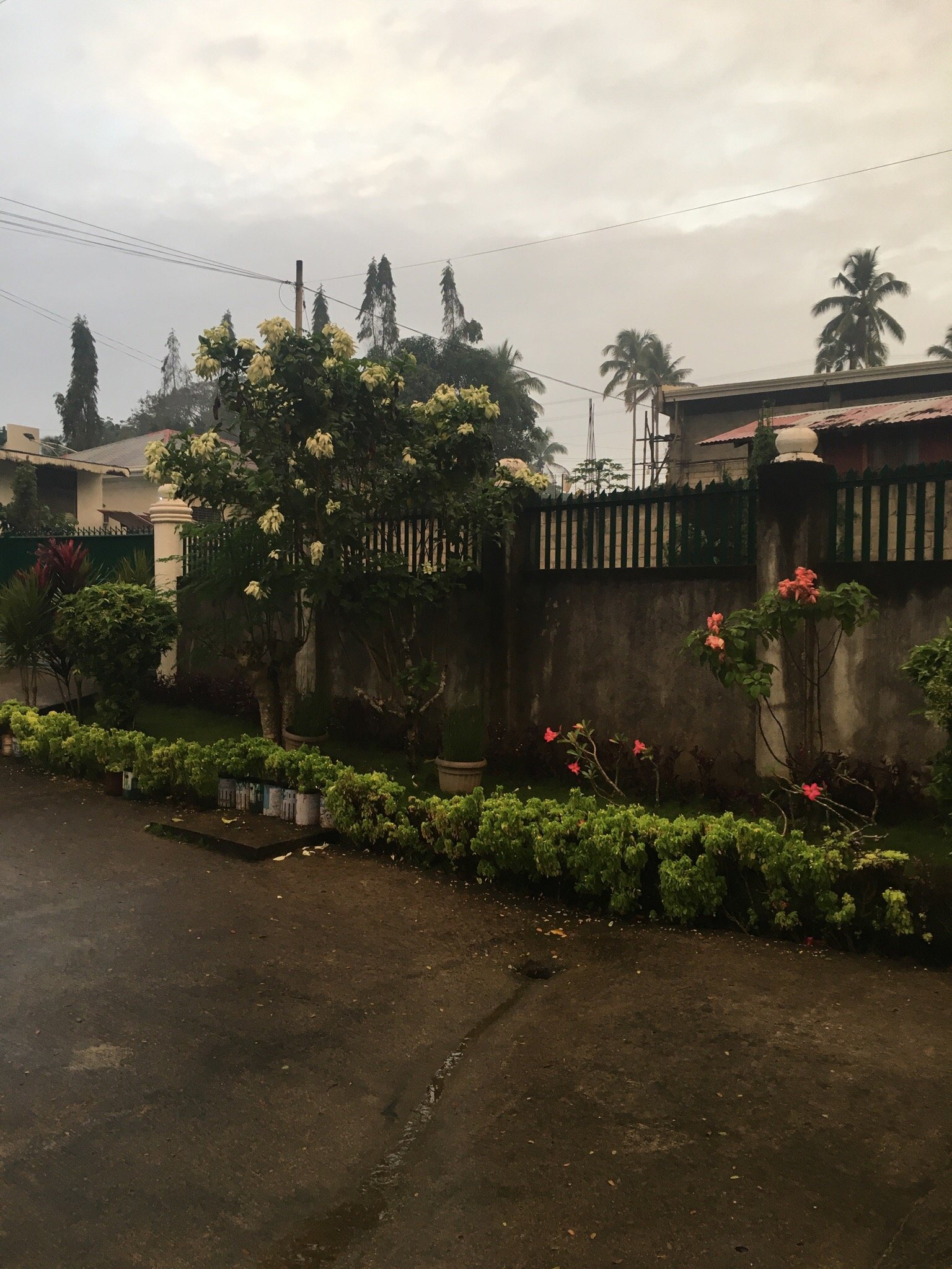 7P2 Bed and Breakfast-官方