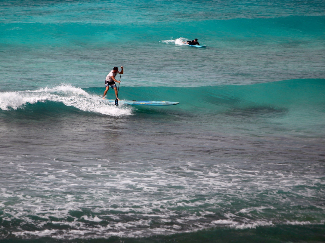 Paddle Barbados-布里奇顿必去景点