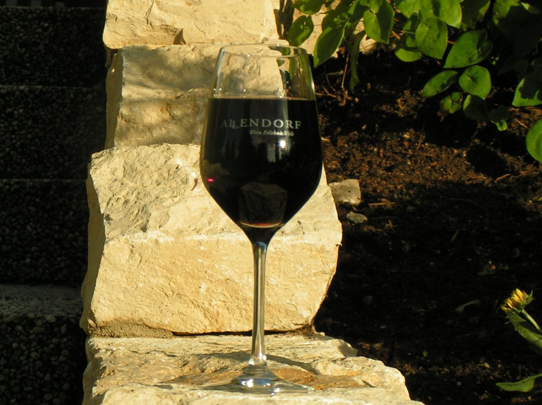 Landgasthof Weinhaus Schmitt主图