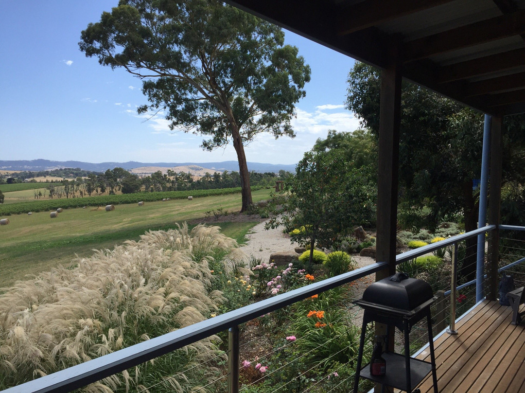 Outlook Hill-Tarrawarra必去景点