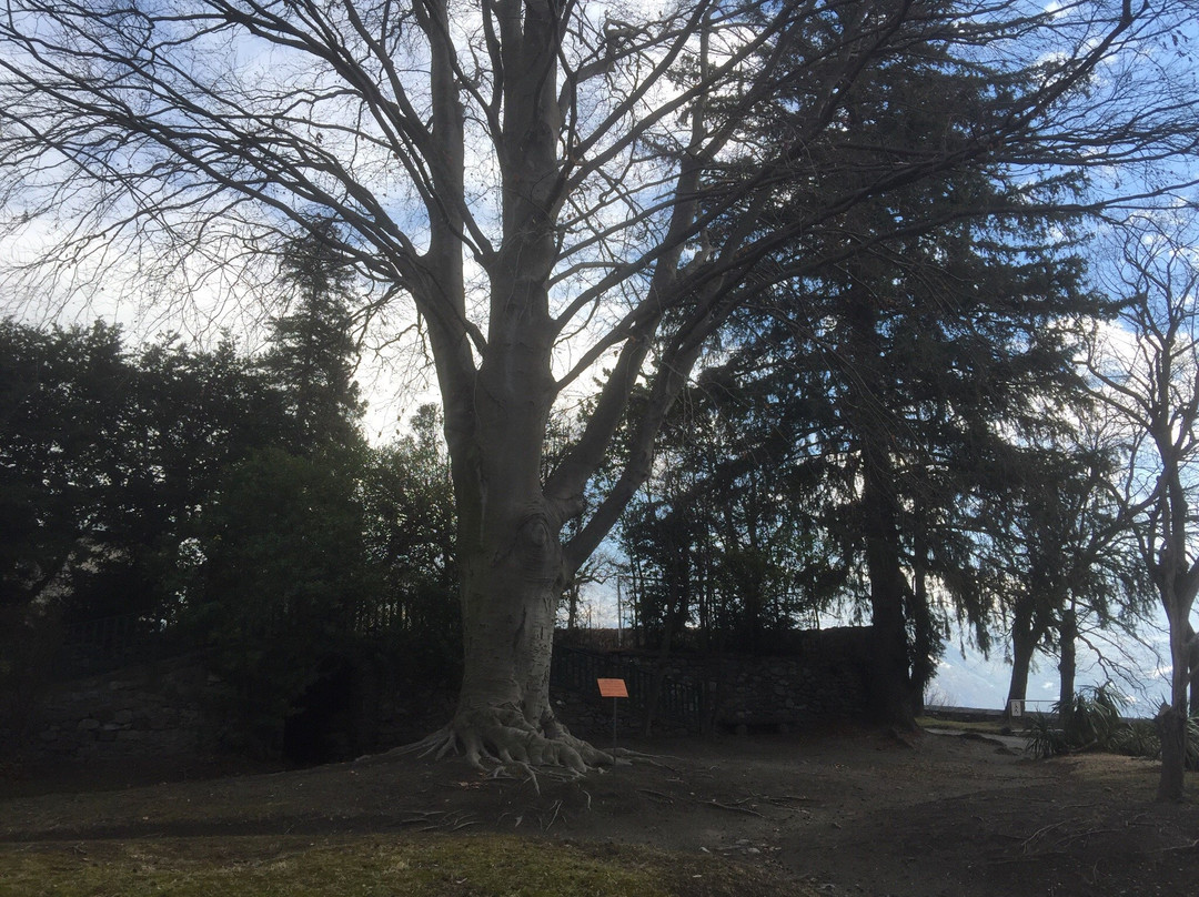 Parc du Chateau de Passerin d'Entreves-Chatillon必去景点