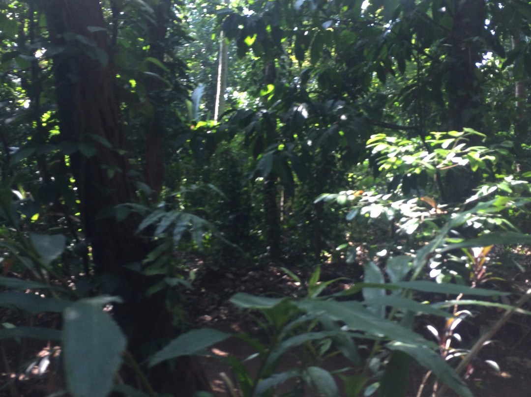 Paramount Spice Garden-Matale必去景点