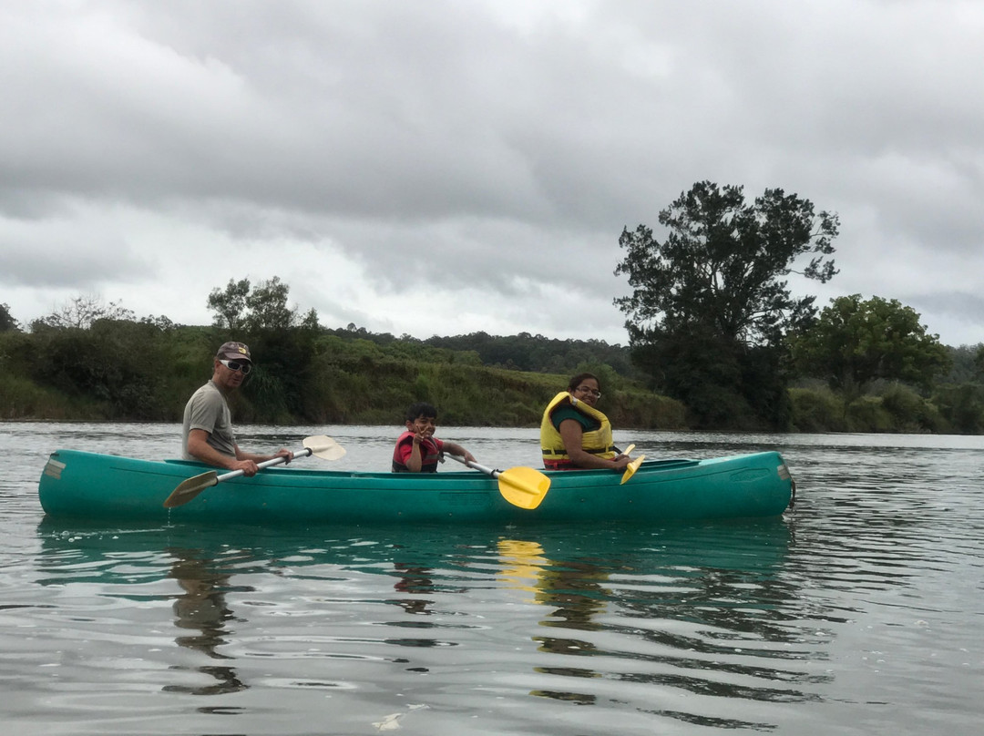 Bellingen Canoe Adventures景点图片