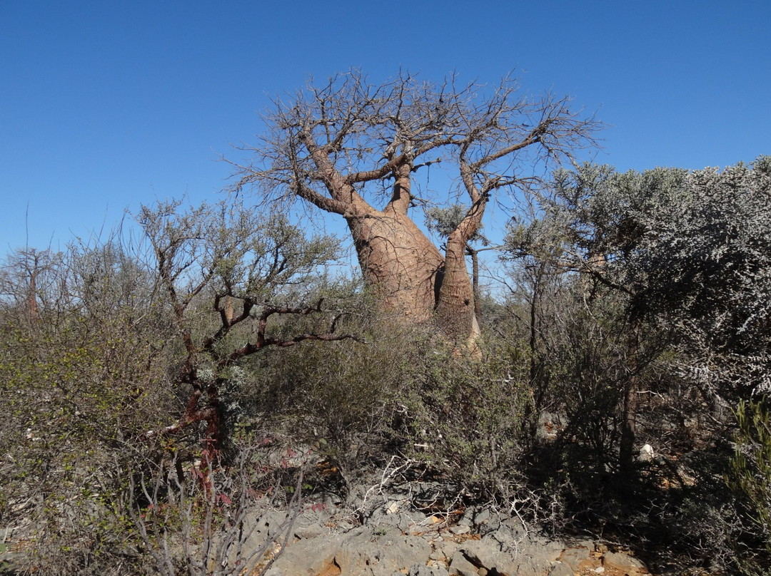 Parc National de Tsimanampetsotsa景点图片
