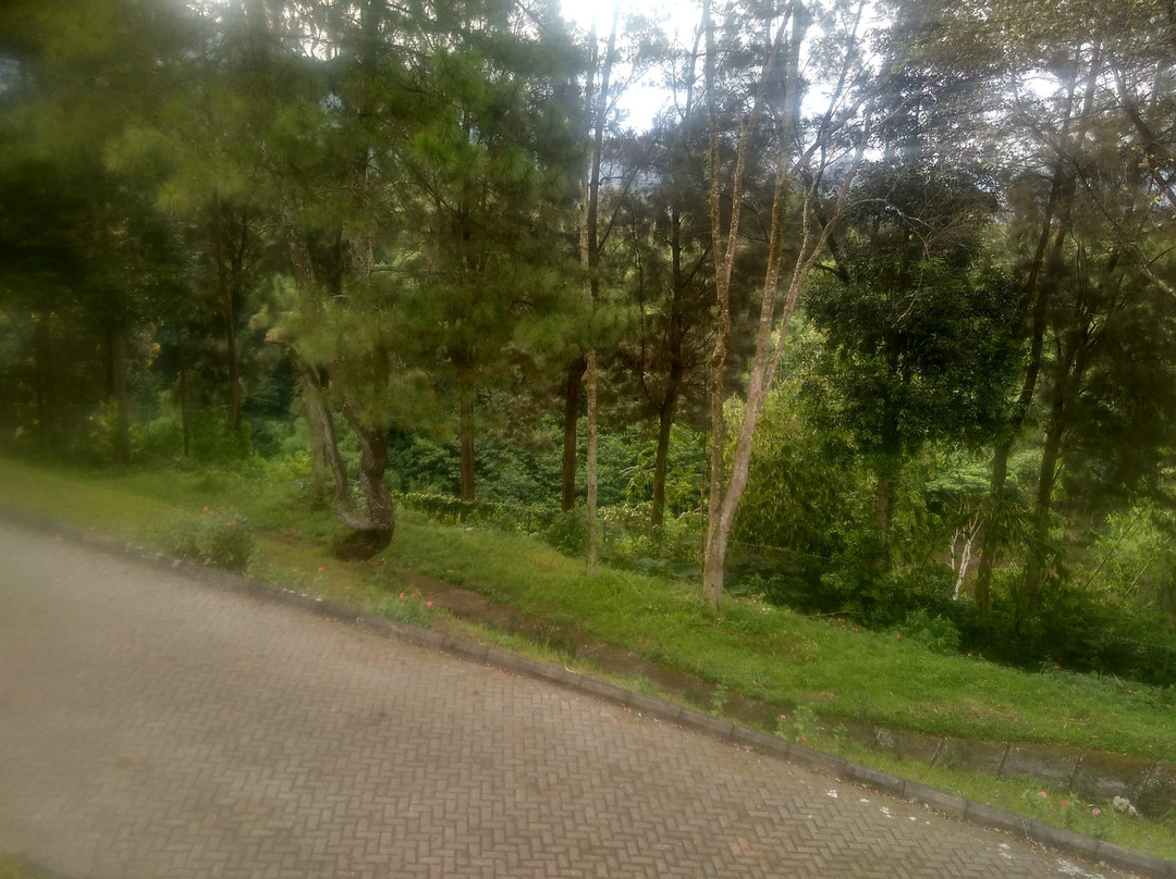 Berlian Resort主图