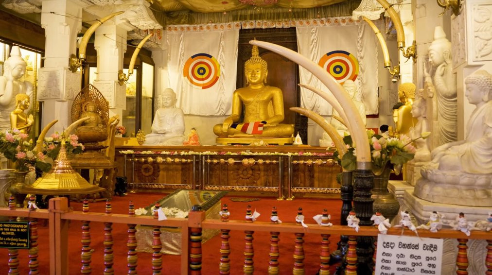 Seerendipity Tours and Travels - Day Tours-Panadura必去景点