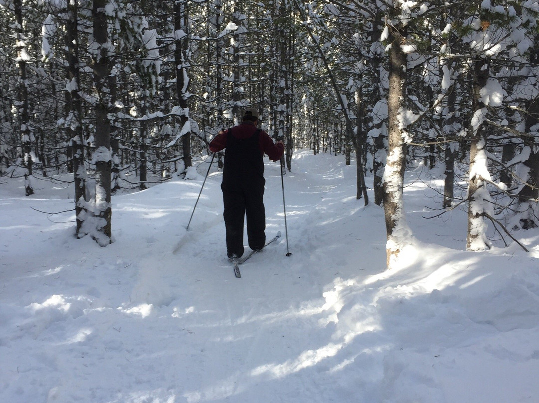 Jackson Hole Nordic-威尔逊必去景点