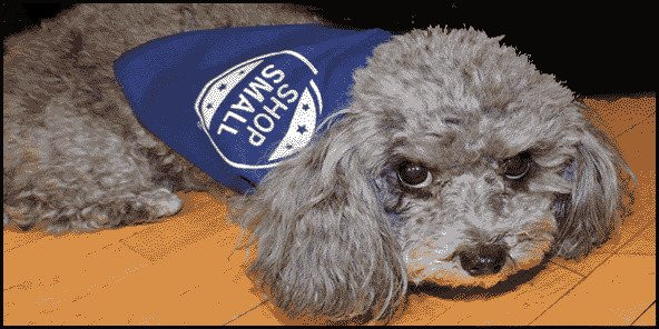 Antique Lamp Co And Gift Emporium-水牛城必去景点